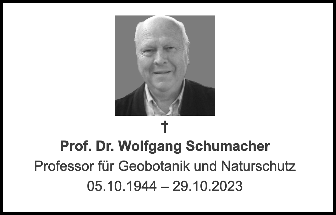 Prof. Dr. Wolfgang Schumacher